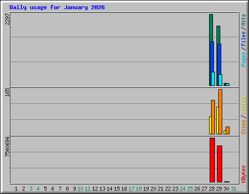 Daily usage for January 2026