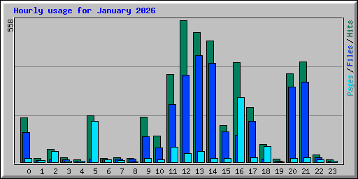 Hourly usage for January 2026