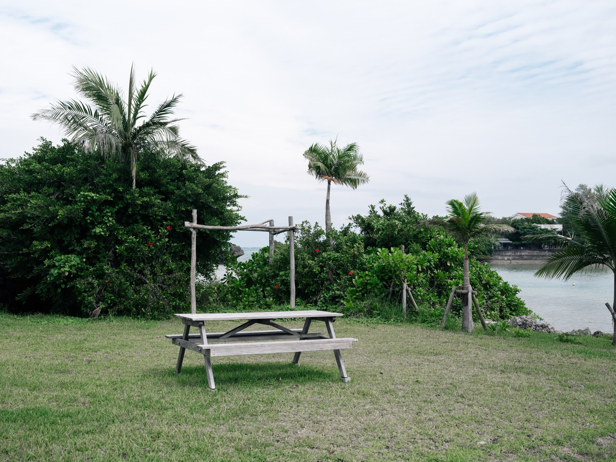 シャローズストリート